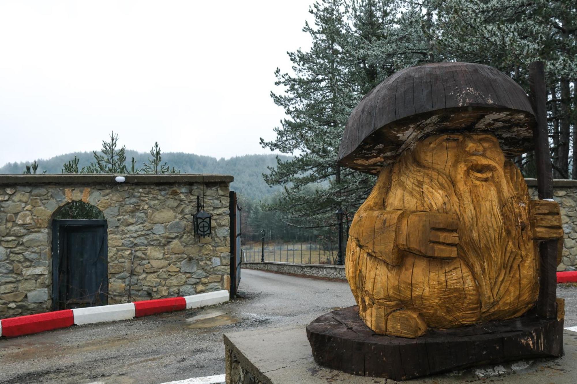Pindos Resort Kraniá Zewnętrze zdjęcie